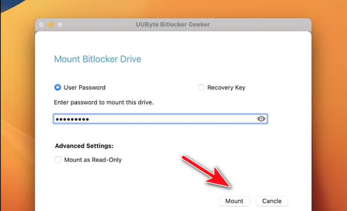 uubyte bitlocker geeker