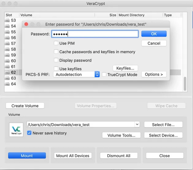 mount volume VeraCrypt