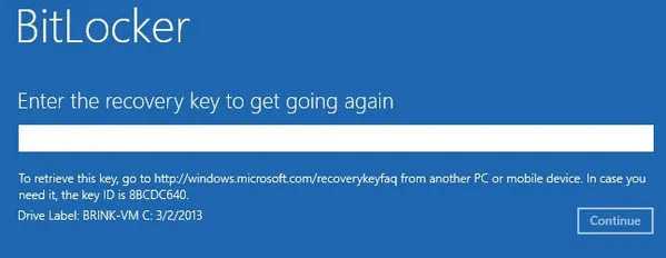 Input BitLocker Recovery Key